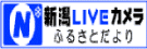 �V��LIVE�J����