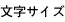文字サイズ