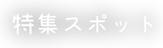 特集スポット