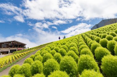 グリーンシーズン 湯沢町観光まちづくり機構公式hp 越後湯沢観光navi