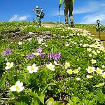 ヒュッテ平標茶屋